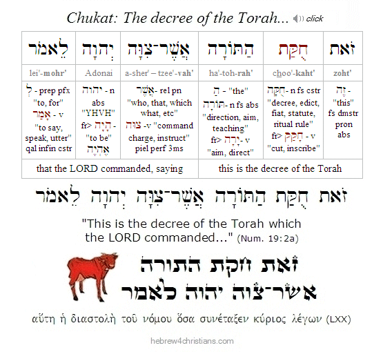 Numbers 19:2 Hebrew Analysis Chukat