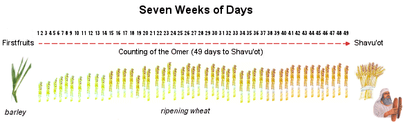 Countdown to Shavu'ot