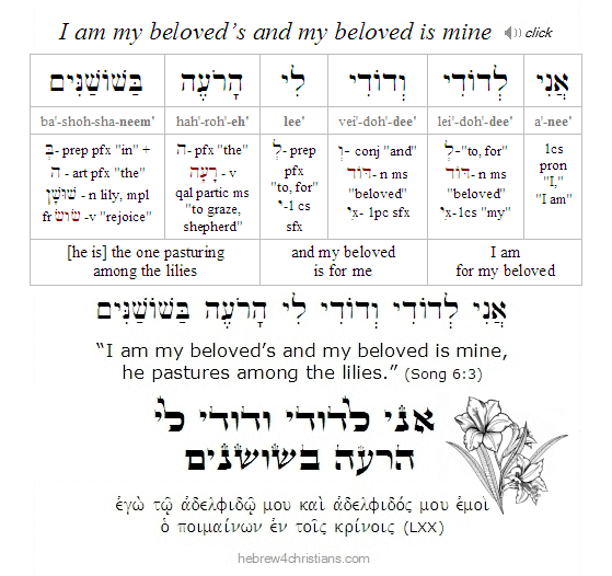 Song of Songs 6:3 Hebrew Analysis