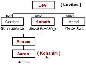 The Levi Clan