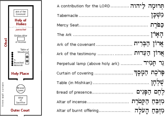 Some Terms related to the Mishkan