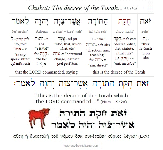 Numbers 19:2 Hebrew Analysis Chukat