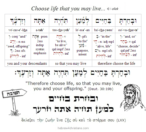 Deut. 30:19 Hebrew lesson