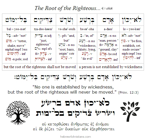 Proverbs 12:3 Hebrew Lesson